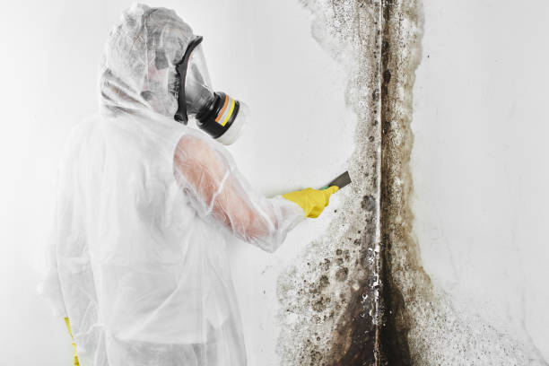 Best Mold Testing  in Holiday Valley, OH