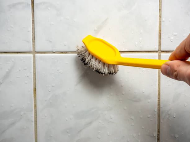 Best Mold Removal Company Near Me  in Holiday Valley, OH