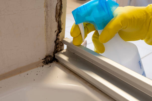 Best Mold Testing  in Holiday Valley, OH